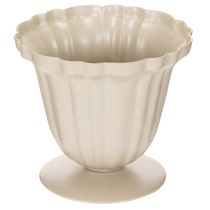 Prodotto Ciotola decorativa, trofeo color crema, piccola, 10 cm