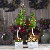 Vaso in ceramica, vaso di fiori con decoro in quercia, vaso per piante verde / bianco / grigio Ø13cm H11.5cm set di 3