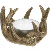 Portacandele candelabro corno oro H7cm Ø10cm 2pz