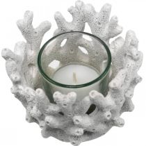 Lanterna con vetro in corallo decoro marittimo bianco artificiale Ø9.5cm 2pz