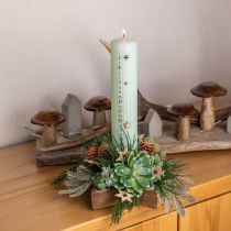 Prodotto Candeliere, decorazione da tavola Natale, candeliere stella H7cm Ø20cm/6.5cm