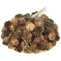 Prodotto Pigne naturali piccole pigne decorazione in rete 2,5-3,5cm 300g