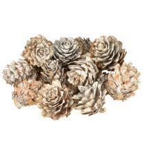 Prodotto Pigne sbiancate, piccole pigne decorative in rete, 2,5-3,5 cm, 500 g