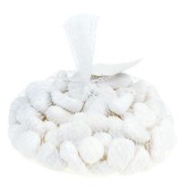Prodotto Ciottoli nella rete Bianco 2,5 cm - 4 cm 1 kg