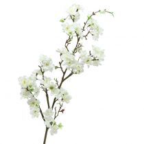 Fiori di ciliegio ramo Fiori di Ciliegio fiore di seta 60 cm Bianco crema 3018123no-40 f64 