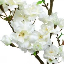 Prodotto Ramo di ciliegio bianco decorazione artificiale primaverile ramo decorativo 110 cm
