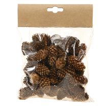 Prodotto Piccoli coni di cicuta decorativi naturali dell'Avvento 3-4 cm 100 g
