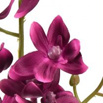 Prodotto Piccola orchidea Phalaenopsis fiore artificiale viola scuro 30 cm