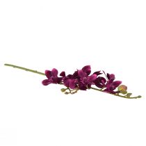 Prodotto Piccola orchidea Phalaenopsis fiore artificiale viola scuro 30 cm