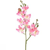 Prodotto Piccola orchidea Phalaenopsis fiore artificiale rosa 30 cm