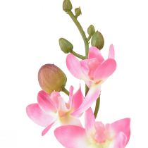 Prodotto Piccola orchidea Phalaenopsis fiore artificiale rosa 30 cm