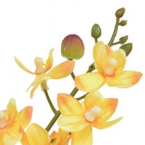 Prodotto Piccola orchidea Phalaenopsis artificiale gialla 30 cm