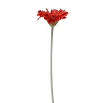 Prodotto Fiori artificiali Gerbera Rossa 45cm