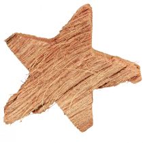 Prodotto Decorazione stella di cocco naturale Decorazione natalizia naturale 5,5-7 cm 30 pz