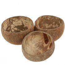 Prodotto Ciotola in cocco ciotola decorativa naturale in cocco divisa a metà 10 cm 6 pz
