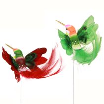 Prodotto Decorazione colibrì su bastoncino turchese bordeaux 13-15 cmx9-10 cm 6 pz