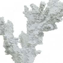 Decorazione marittima supporto per decorazione artificiale bianco corallo 11×12 cm