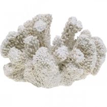 Decoro marittimo corallo bianco artificiale poliresina piccola 13,5x12 cm