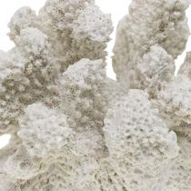 Decoro marittimo corallo bianco artificiale poliresina piccola 13,5x12 cm