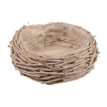 Cesto per piante in vimini lavato bianco Ø20cm H10cm