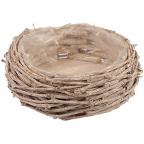 Cesto per piante in vimini lavato bianco Ø25cm H11cm
