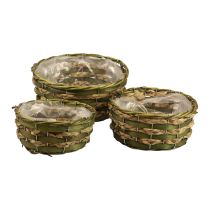 Cestino rotondo per piante intrecciato in legno verde Ø26/21/18 cm set di 3
