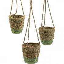 Prodotto Cesto sospeso, cestino naturale, fioriera per appendere naturale, verde Ø19/17/15cm set di 3