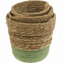 Prodotto Cesto sospeso, cestino naturale, fioriera per appendere naturale, verde Ø19/17/15cm set di 3