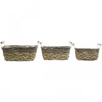 Prodotto Cesto per piante con manici, ciotola quadrata, fioriera naturale per piantare shabby chic bianco lavato L30/25,5/21 cm H12/11/10 cm set di 3