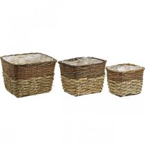 Prodotto Cesto per piante, contenitore naturale per piantare, fioriera quadrata naturale L29,5/26/23 cm H21/19/16 cm set di 3
