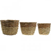 Prodotto Set di cestini in vimini naturale, 3 cestini rotondi per piantare, fioriere decorative Ø27/25/20 cm, vimini rustico