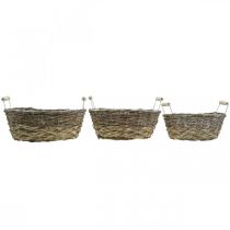 Prodotto Cesto naturale per piantare, cesto con manici, fioriera shabby chic lavato bianco L31/27,5/24 cm H12/11,5/10 cm set di 3