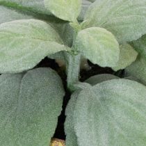 Prodotto Erbe aromatiche artificiali in vaso Decorazioni assortiti per cucina, giardino, balcone o terrazza 15 cm, 3 pezzi