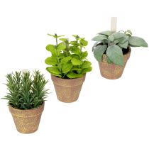 Prodotto Erbe aromatiche artificiali in vaso Decorazioni assortiti per cucina, giardino, balcone o terrazza 15 cm, 3 pezzi