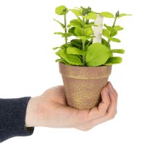 Prodotto Vaso per erbe aromatiche artificiali con erbe decorative per cucina, giardino, balcone o terrazza, 15 m³, 3 pezzi