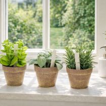 Prodotto Erbe aromatiche artificiali in vaso Decorazioni assortiti per cucina, giardino, balcone o terrazza 15 cm, 3 pezzi