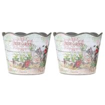 Prodotto Vaso per erbe aromatiche vaso per fiori in plastica Fresh Garden H13,5cm 2 pezzi