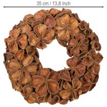 Prodotto Ghirlanda di loto essiccato, ghirlanda decorativa per porta, 35 cm