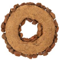 Prodotto Ghirlanda di loto essiccato, ghirlanda decorativa per porta, 35 cm