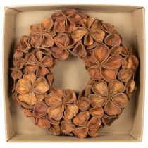 Prodotto Ghirlanda di loto essiccato, ghirlanda decorativa per porta, 35 cm