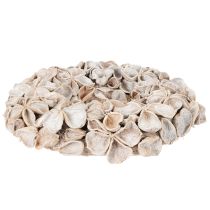 Prodotto Ghirlanda con fiori di loto, decorazione naturale, fiori secchi, 35 cm