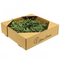 Prodotto Decorazione natalizia ghirlanda di fiori secchi verdi ghirlanda per porta lino erba festiva Ø34cm