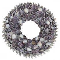 Ghirlanda di conchiglie, conchiglie naturali viola chippy, anello di conchiglie Ø25cm