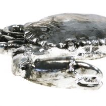 Prodotto Granchio decorativo, argento anticato, 12 cm