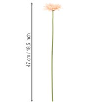 Prodotto Gerbere artificiali color albicocca, 47 cm, 6 pezzi