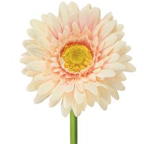 Prodotto Fiori artificiali Gerbera Albicocca 47cm