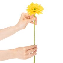 Prodotto Gerbere artificiali, giallo sole, fiori da giardino, 47 cm, 6 pezzi