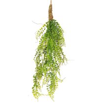Prodotto Pianta di pisello artificiale in juta da appendere verde H80cm