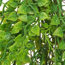 Prodotto Pianta di pisello artificiale in juta da appendere verde H80cm