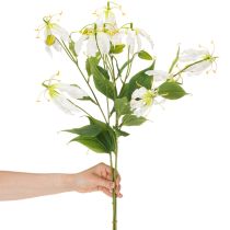 Prodotto Fiore artificiale Gloriosa, bianco e giallo, elegante ramo fiorito decorativo, 80 cm, 3 pezzi